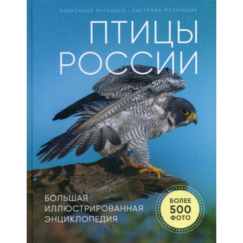 Птицы России Птицы России