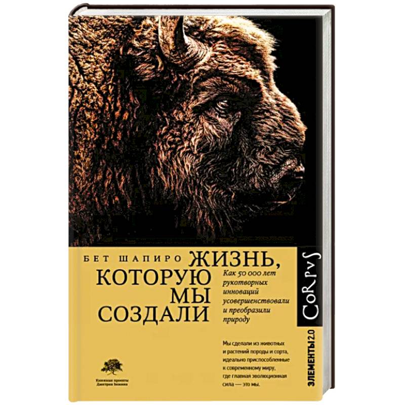 Жизнь, которую мы создали Жизнь, которую мы создали