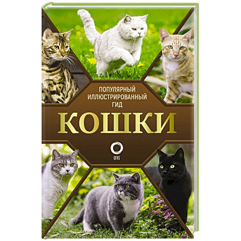 Кошки Кошки