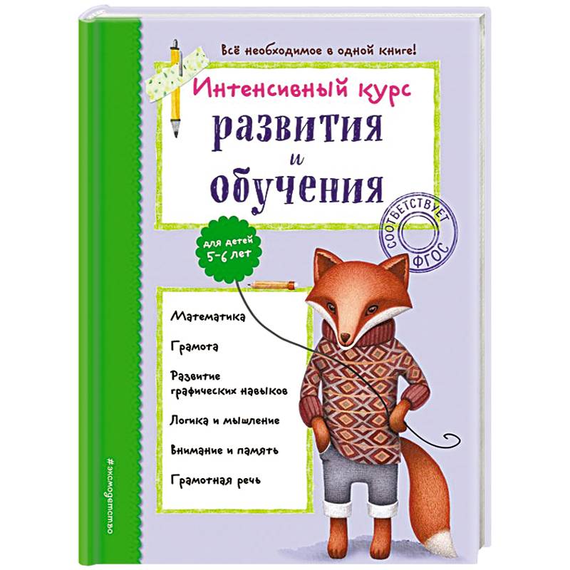 Интенсивный курс развития и обучения. Для детей 5-6 лет