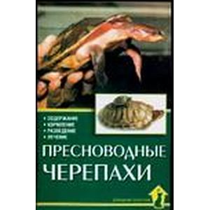 Пресноводные черепахи. Содержание. Кормление Пресноводные черепахи. Содержание. Кормление