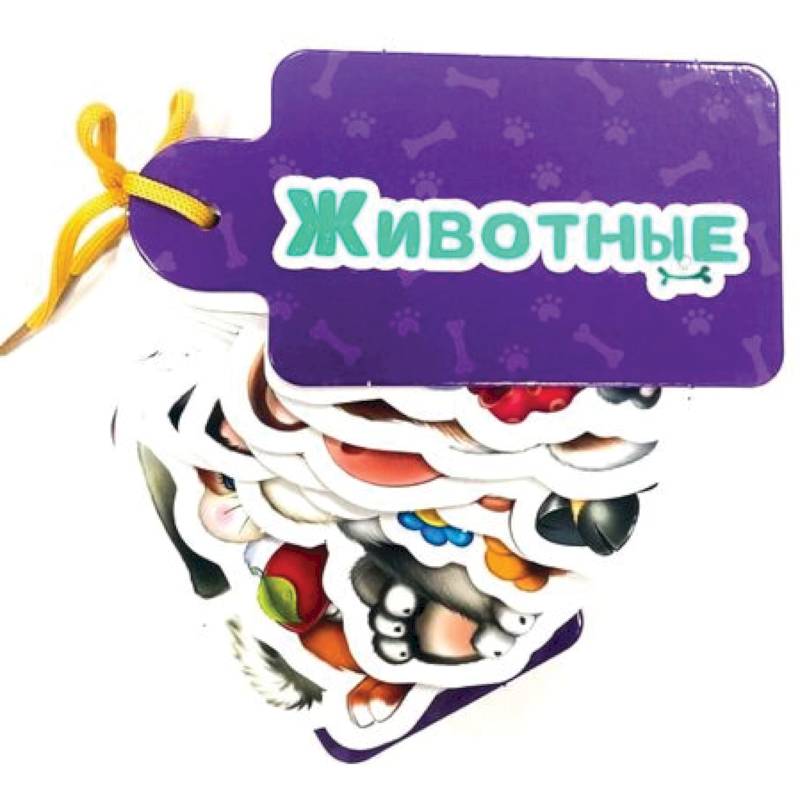 Животные Животные