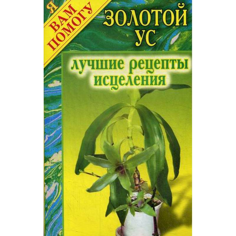 Золотой ус: лучшие рецепты исцеления Золотой ус: лучшие рецепты исцеления