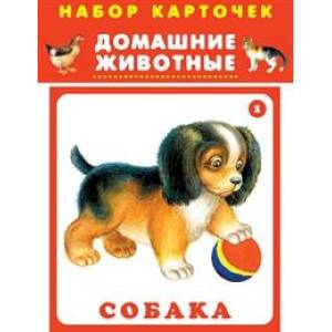 Набор карточек 'Домашние животные'