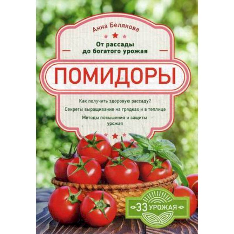 Помидоры. От рассады до богатого урожая Помидоры. От рассады до богатого урожая