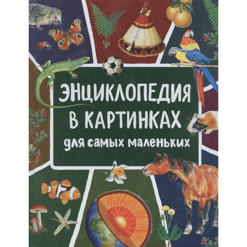 Энциклопедия в картинках для самых маленьких Энциклопедия в картинках для самых маленьких