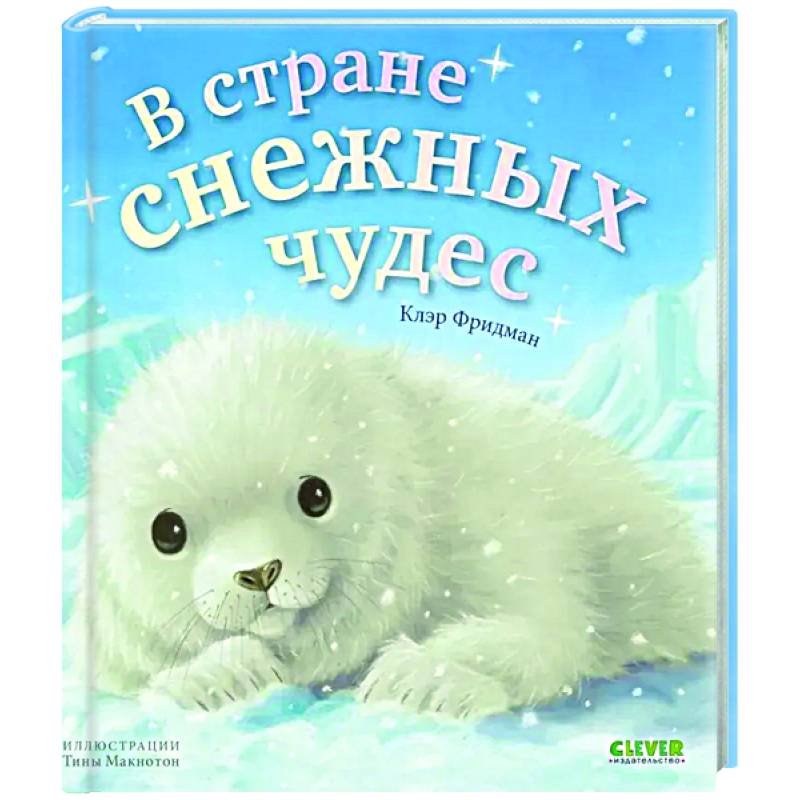 В стране снежных чудес В стране снежных чудес