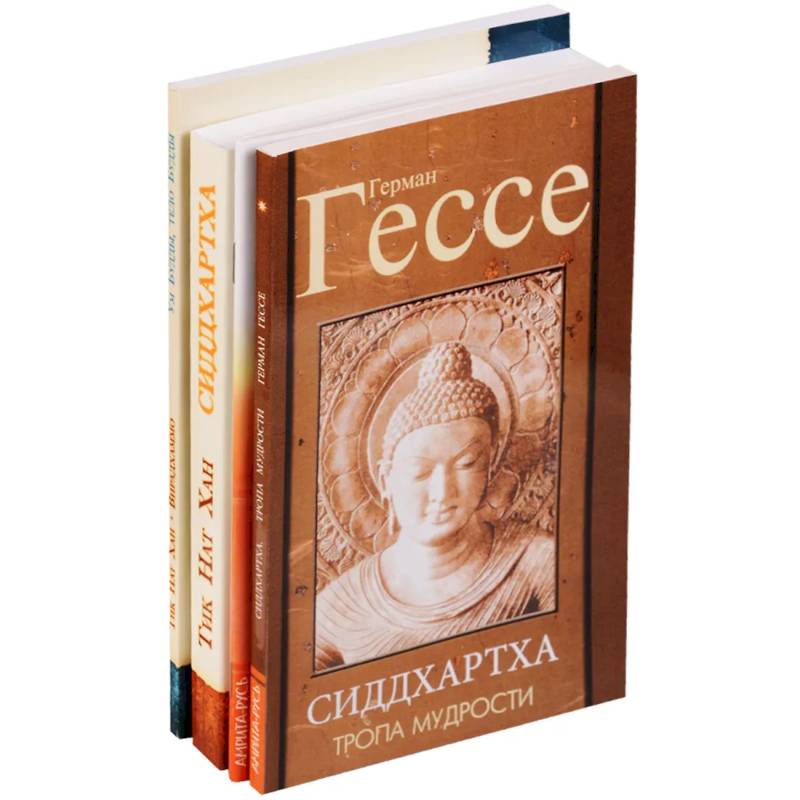 Жизнь и учение Гаутамы Будды (комплект из 4 книг) Жизнь и учение Гаутамы Будды (комплект из 4 книг)