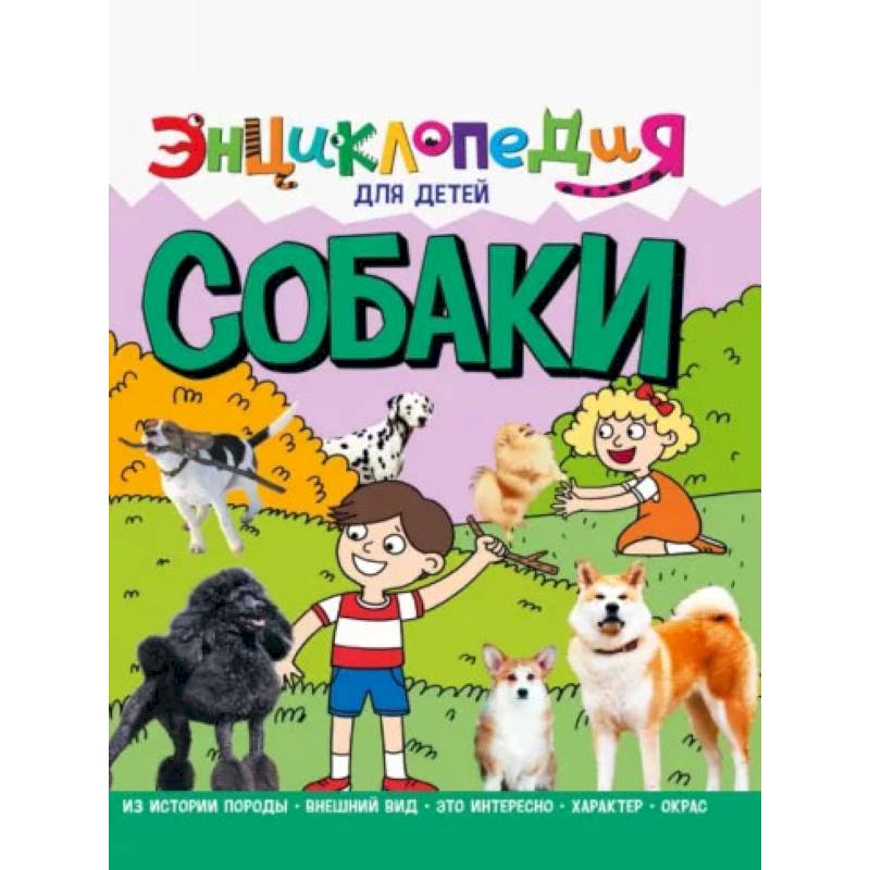Собаки Собаки