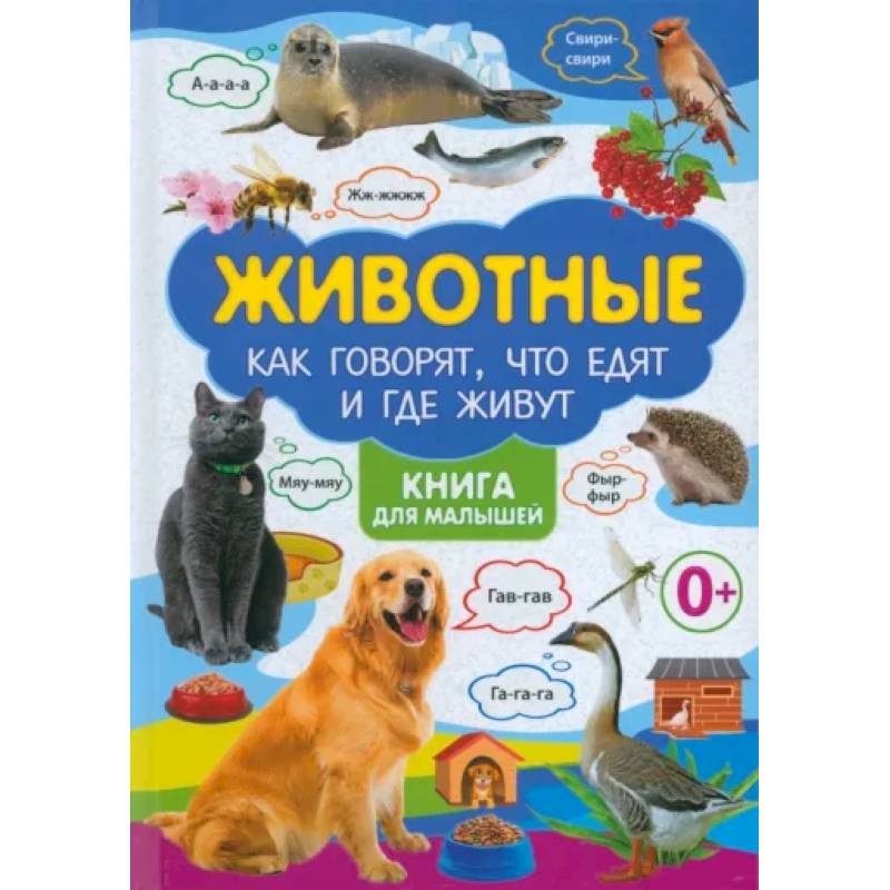 Животные. Как говорят, что едят и где живут Животные. Как говорят, что едят и где живут