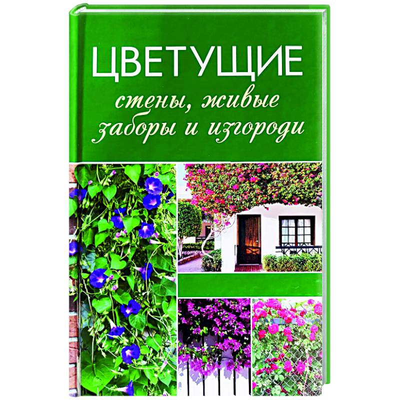 Цветущие стены, живые заборы и изгороди Цветущие стены, живые заборы и изгороди