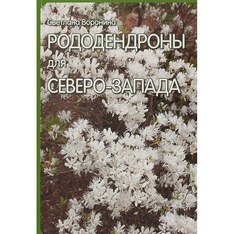 Рододендроны для Северо-Запада Рододендроны для Северо-Запада