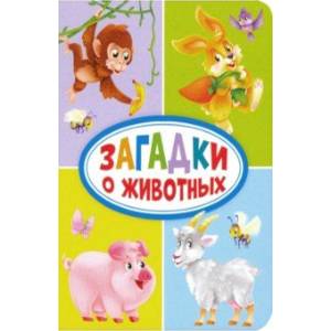 Загадки о животных Загадки о животных