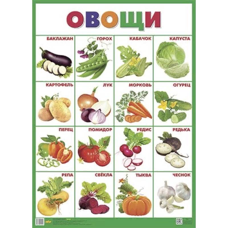 Плакат. Овощи