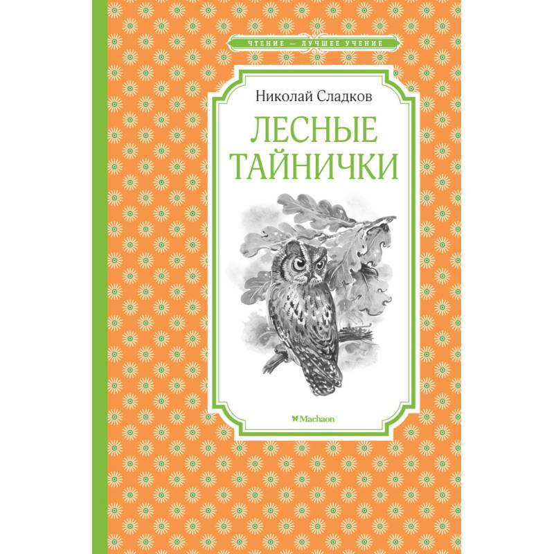 Лесные тайнички Лесные тайнички