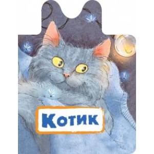 Котик Котик