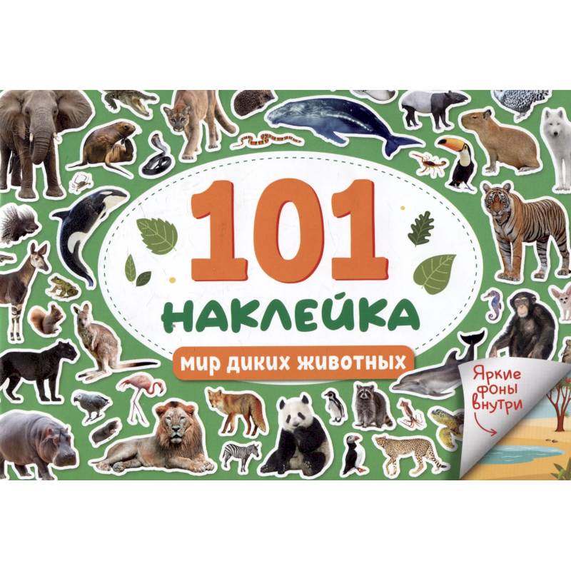 Мир диких животных Мир диких животных