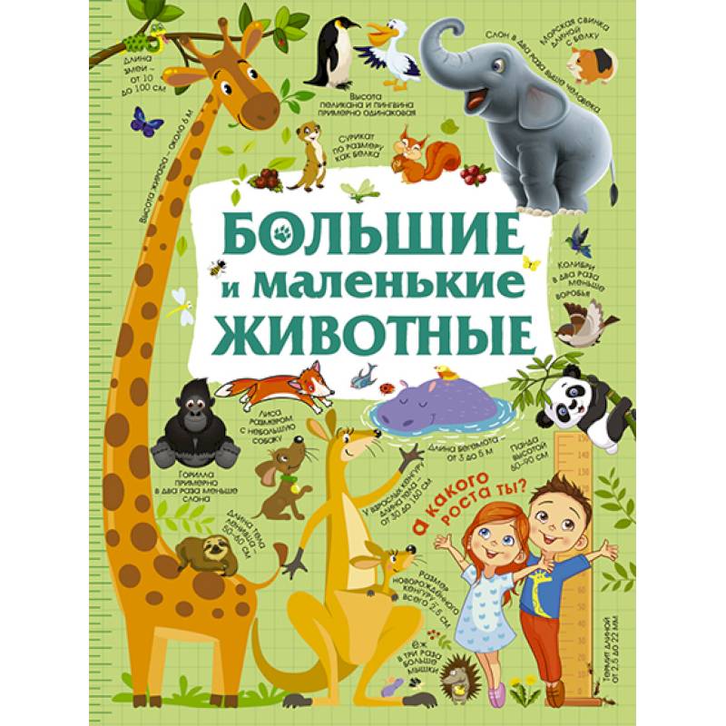 Большие и маленькие животные Большие и маленькие животные