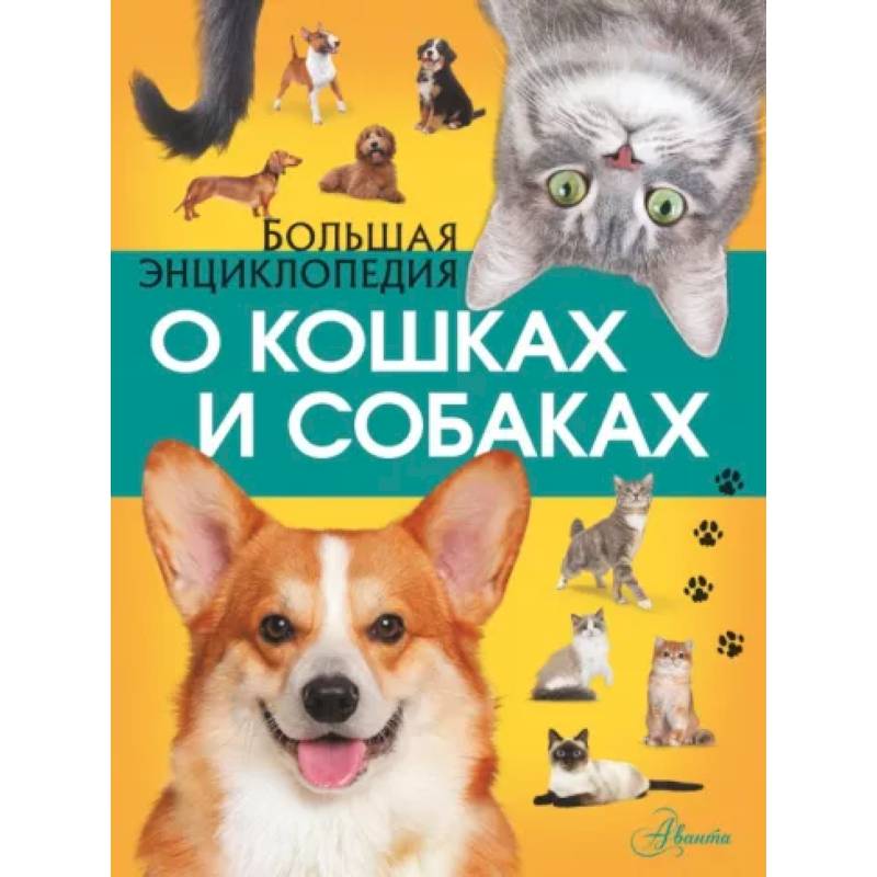 Большая энциклопедия о кошках и собаках Большая энциклопедия о кошках и собаках
