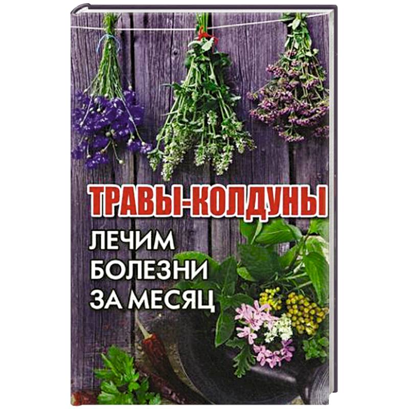 Травы-колдуны. Лечим болезни за месяц Травы-колдуны. Лечим болезни за месяц