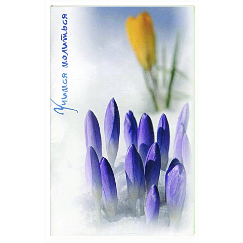 Учимся молиться. Краткий молитвослов для начинающих Учимся молиться. Краткий молитвослов для начинающих