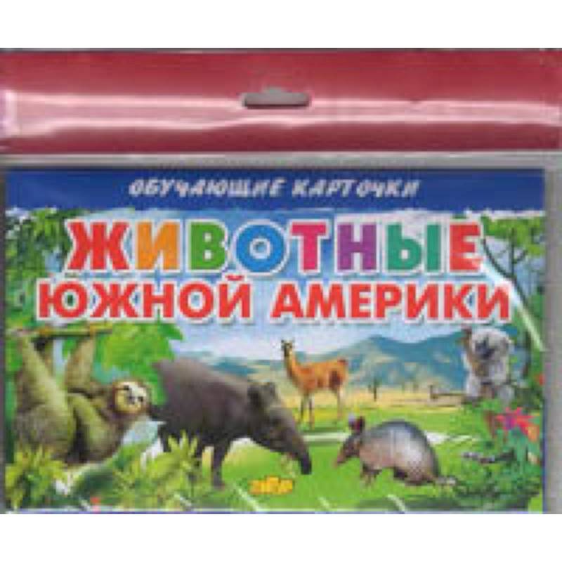 Животные Южной Америки Животные Южной Америки
