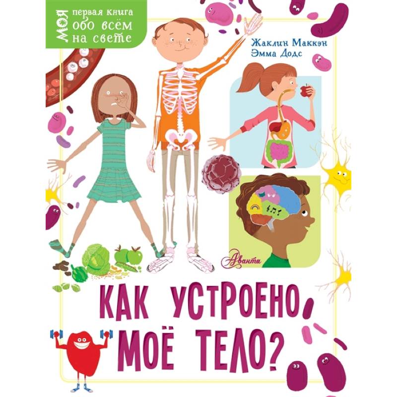 Как устроено моё тело? Как устроено моё тело?