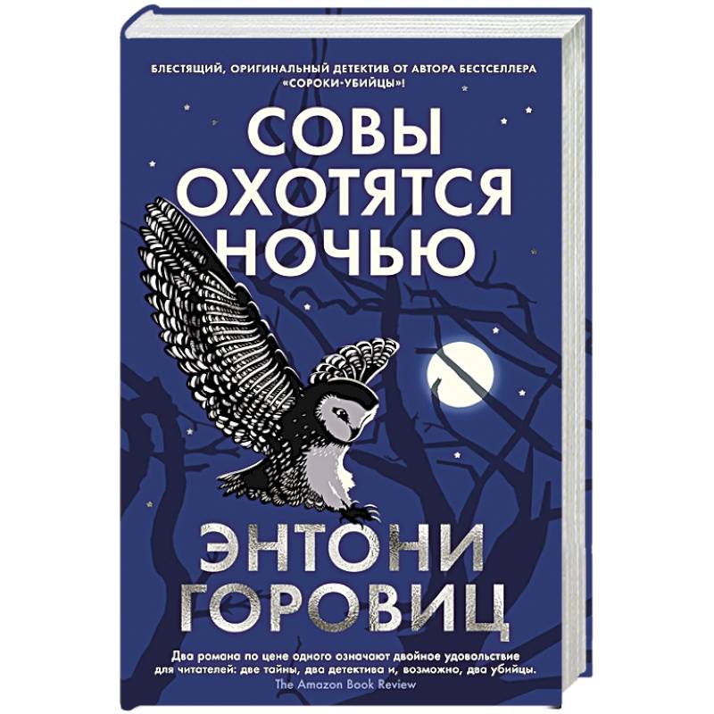 Совы охотятся ночью Совы охотятся ночью
