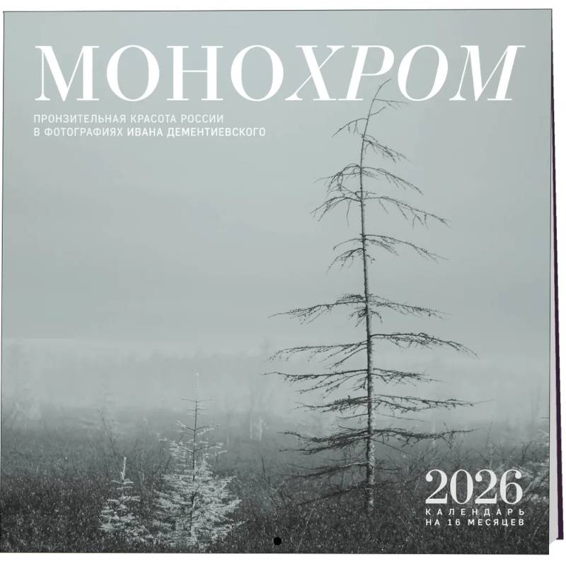 Монохром. Пронзительная красота России в фотографиях Ивана Дементиевского. Календарь настенный на 16 месяцев на 2026 год (300х300 мм)