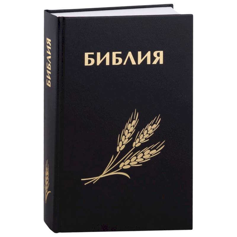 Библия. Книги Священного Писания Ветхого и Нового Завета Библия. Книги Священного Писания Ветхого и Нового Завета
