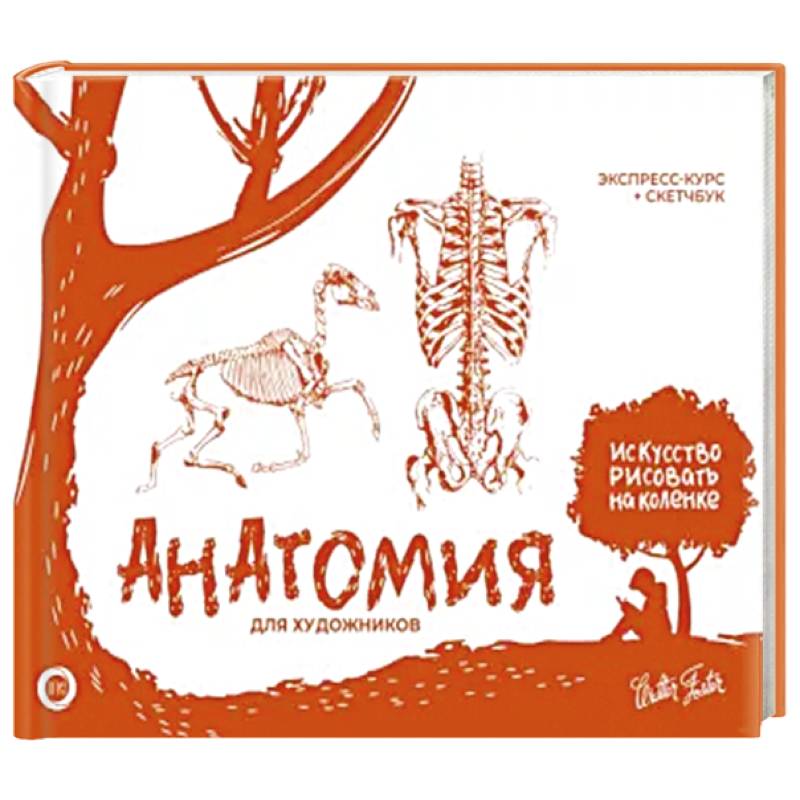 Анатомия для художников. Экспресс-курс + скетчбук Анатомия для художников. Экспресс-курс + скетчбук