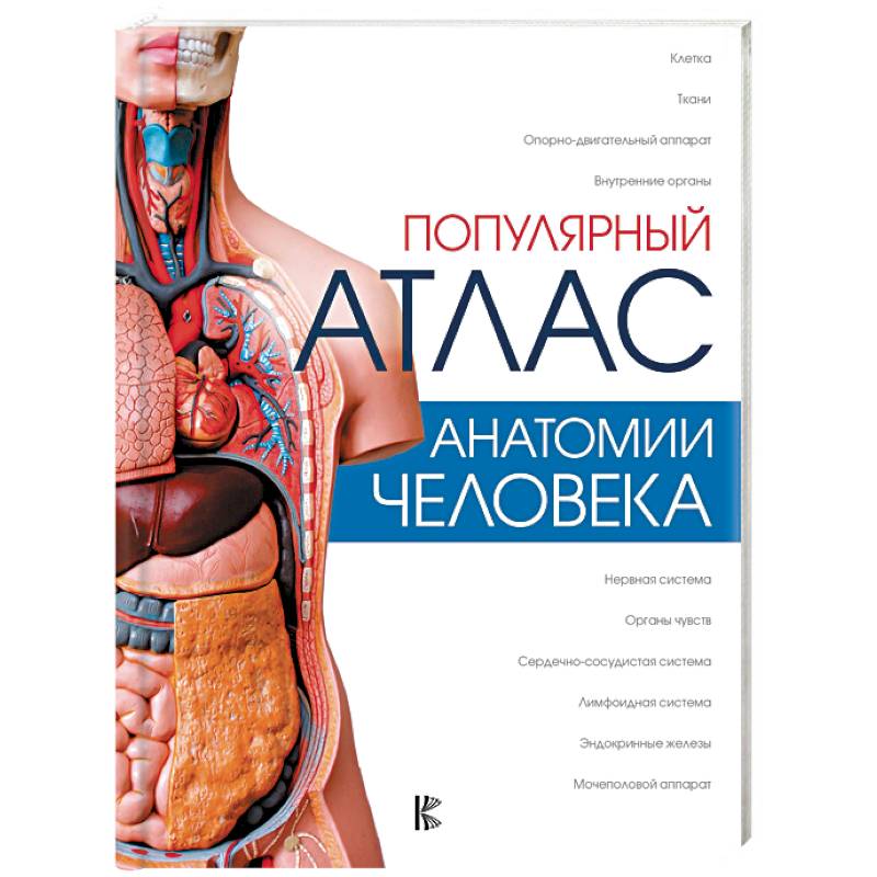 Популярный атлас анатомии человека Популярный атлас анатомии человека