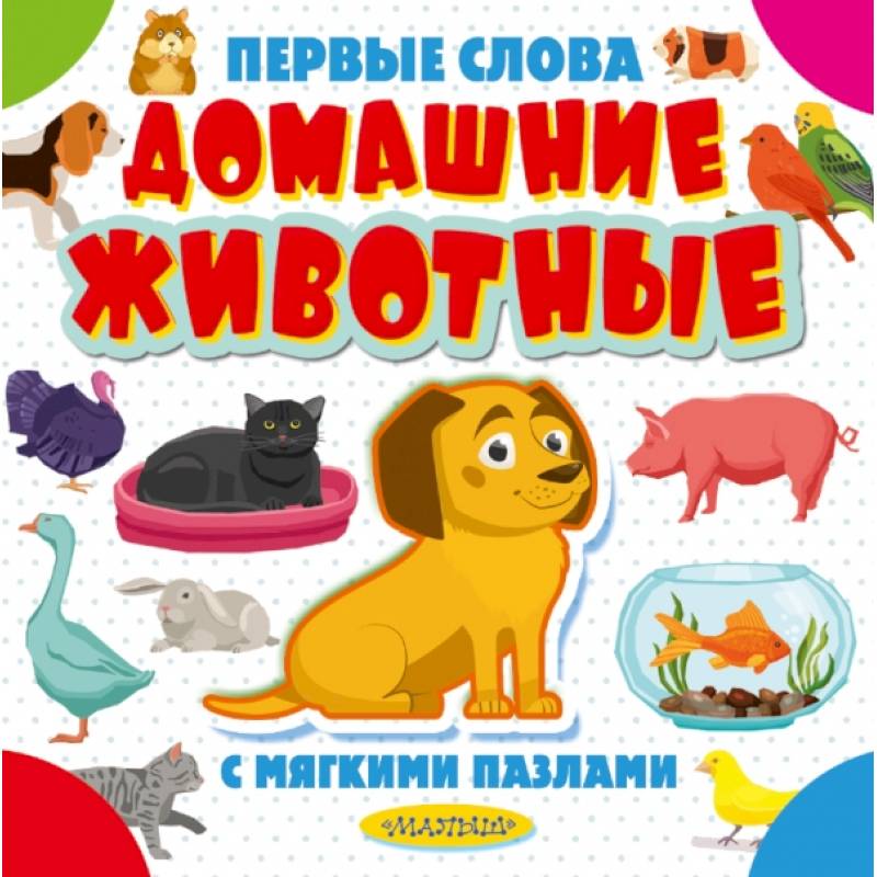Домашние животные Домашние животные