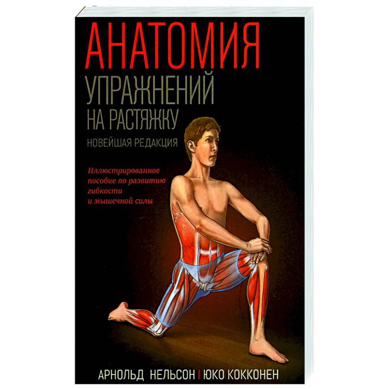 Анатомия упражнений на растяжку Анатомия упражнений на растяжку