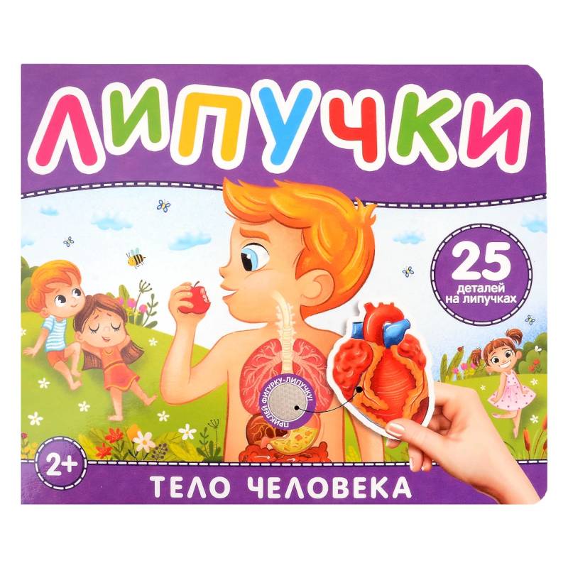 Тело человека. Книга с липучками