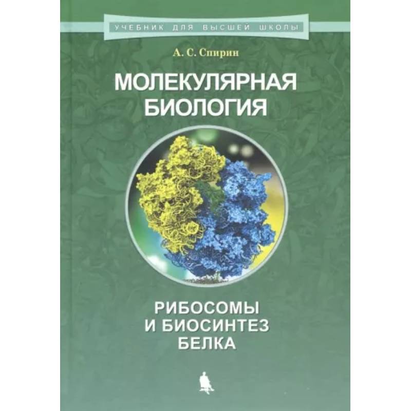 Молекулярная биология. Рибосомы и биосинтез белка Молекулярная биология. Рибосомы и биосинтез белка