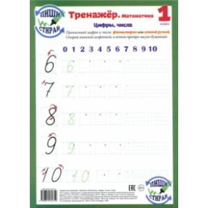 Математика. 1 класс. Цифры, числа. Тренажер, А4