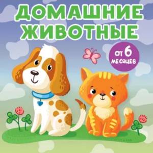 Домашние животные Домашние животные