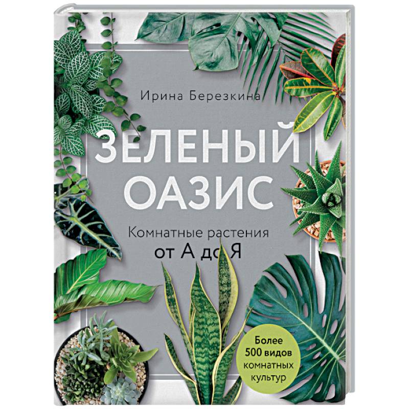 Зеленый оазис. Комнатные растения от А до Я Зеленый оазис. Комнатные растения от А до Я