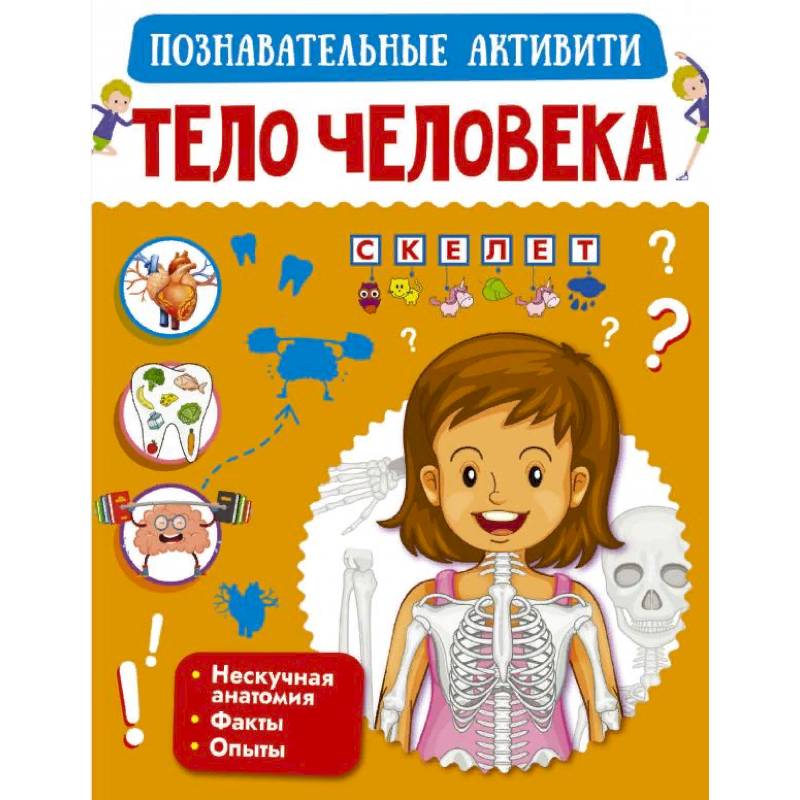 Тело человека Тело человека