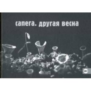 Сапега. Другая весна Сапега. Другая весна