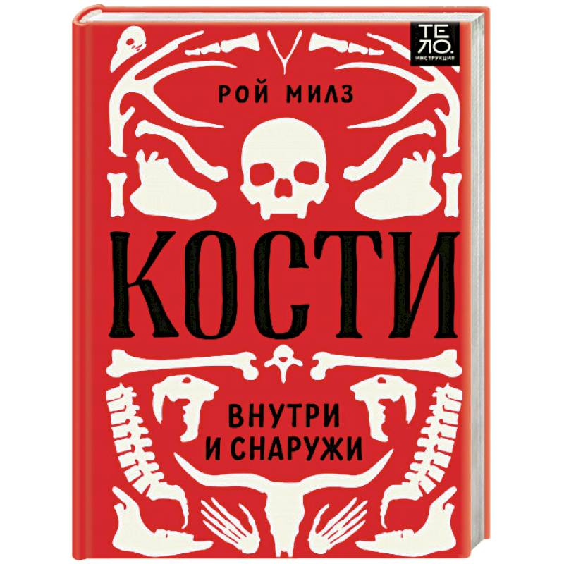 Кости. Внутри и снаружи Кости. Внутри и снаружи