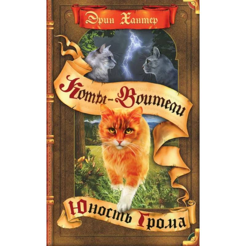 Коты-воители. Юность Грома