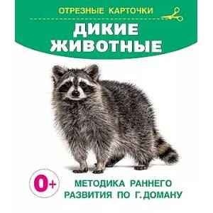Дикие животные Дикие животные