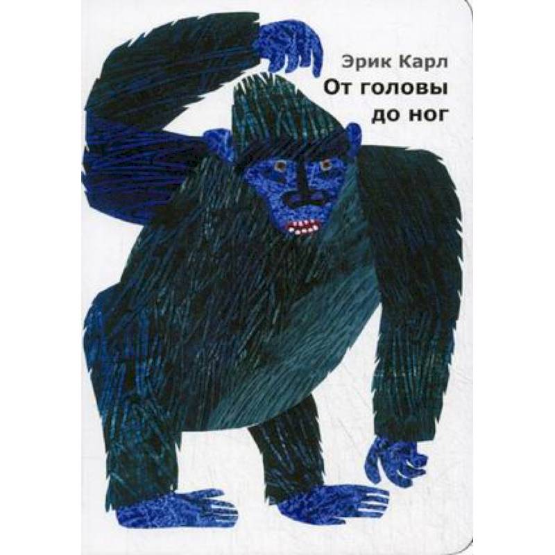 От головы до ног От головы до ног