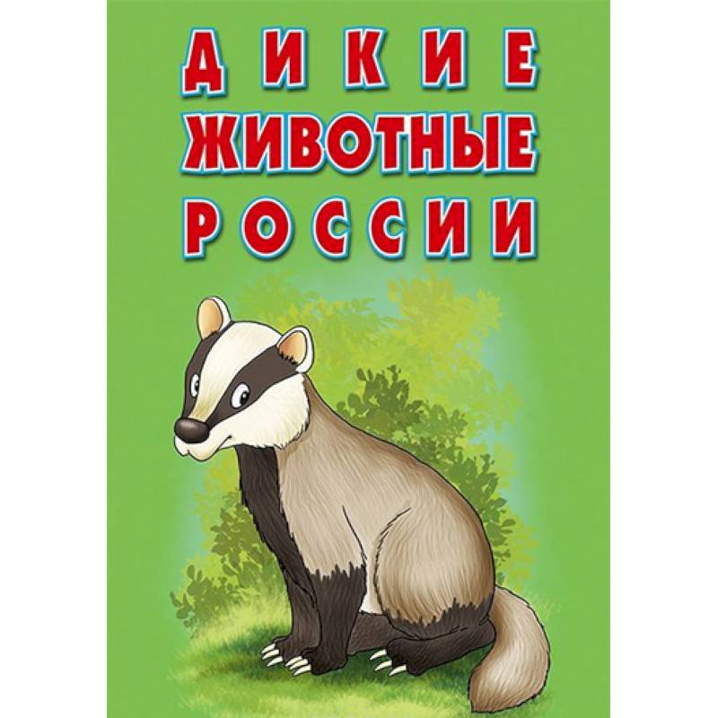 Карточки «Дикие животные России». Интересные факты Карточки «Дикие животные России». Интересные факты
