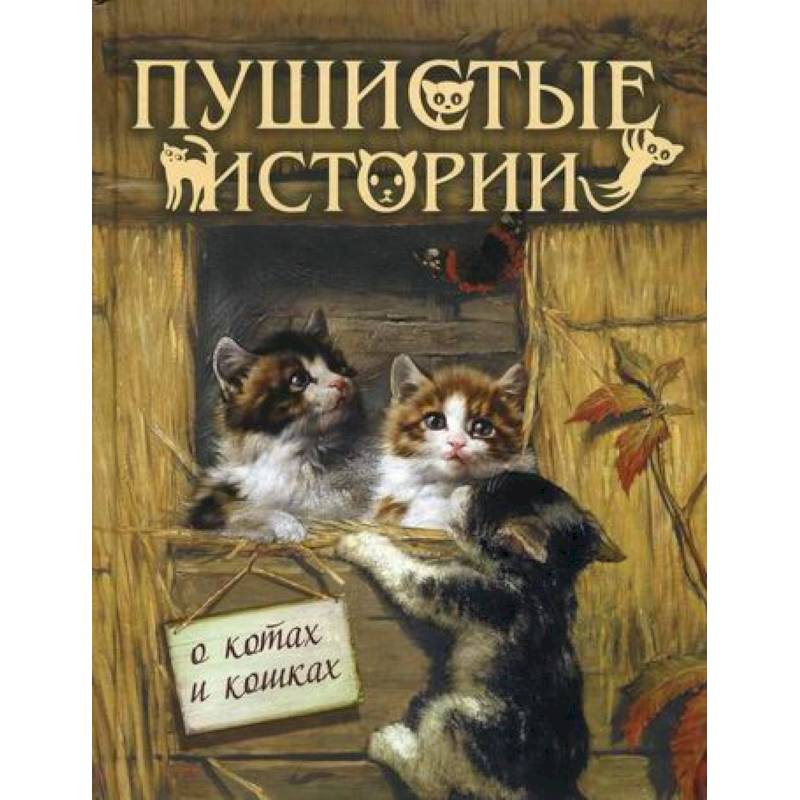 Пушистые истории о котах и кошках Пушистые истории о котах и кошках