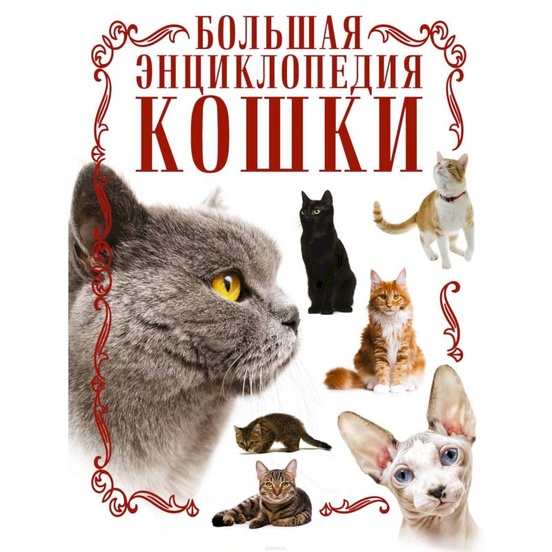 Кошки. Большая энциклопедия Кошки. Большая энциклопедия