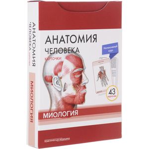 Анатомия человека. Карточки. Миология Анатомия человека. Карточки. Миология
