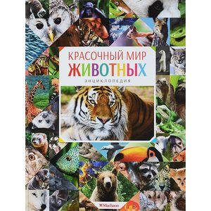 Красочный мир животных Красочный мир животных